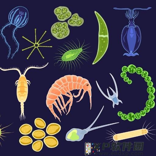 龙珠：最强赛亚人卡罗斯