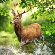 PUIPUI天竺鼠車車塔麻可吉開賣，終於可以養一隻自己的鼠車！