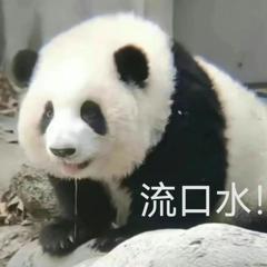雨血：影之刃终极封测激活码最新收取地址